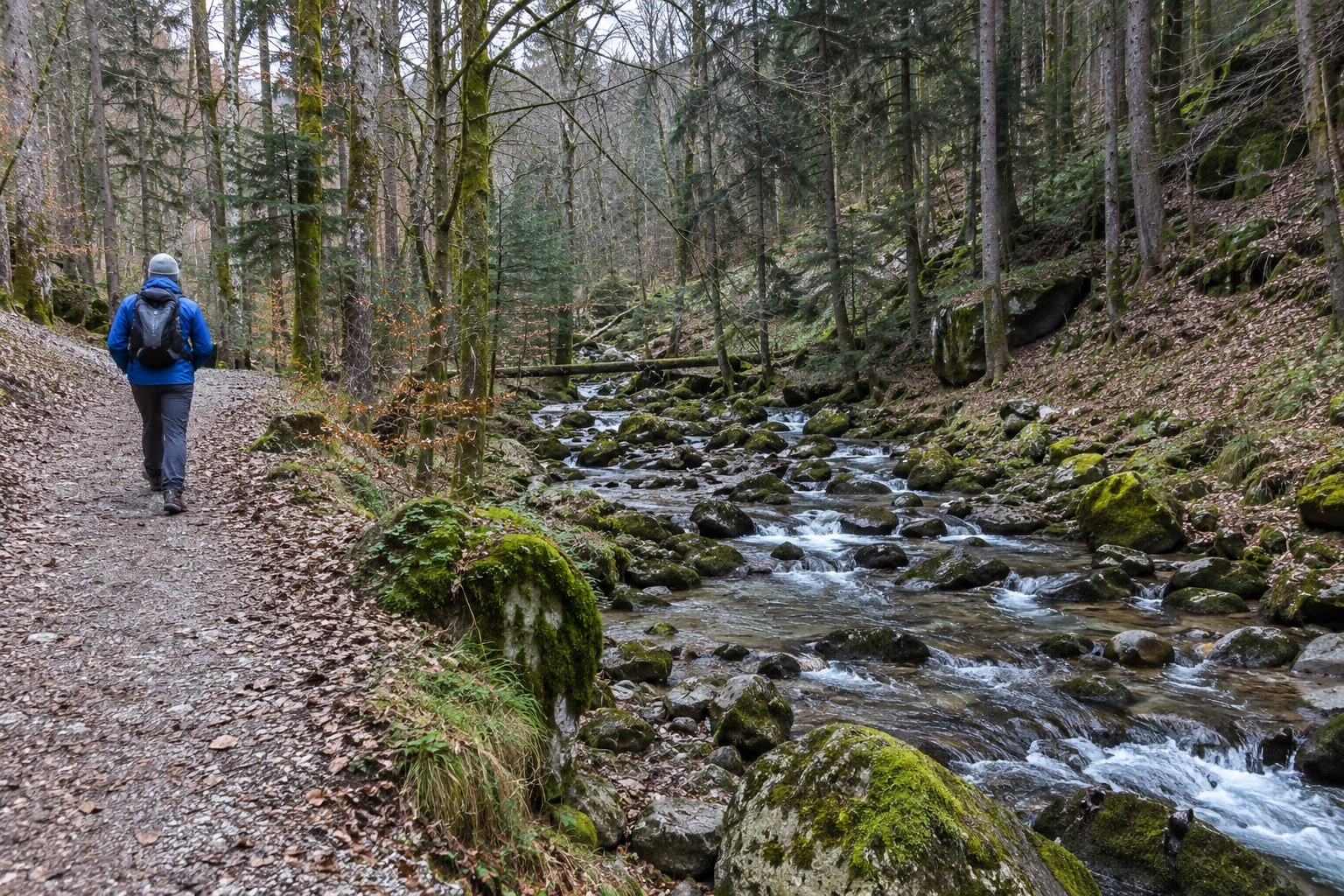 Ein Wanderweg führt an einem Bach durch den Wald.