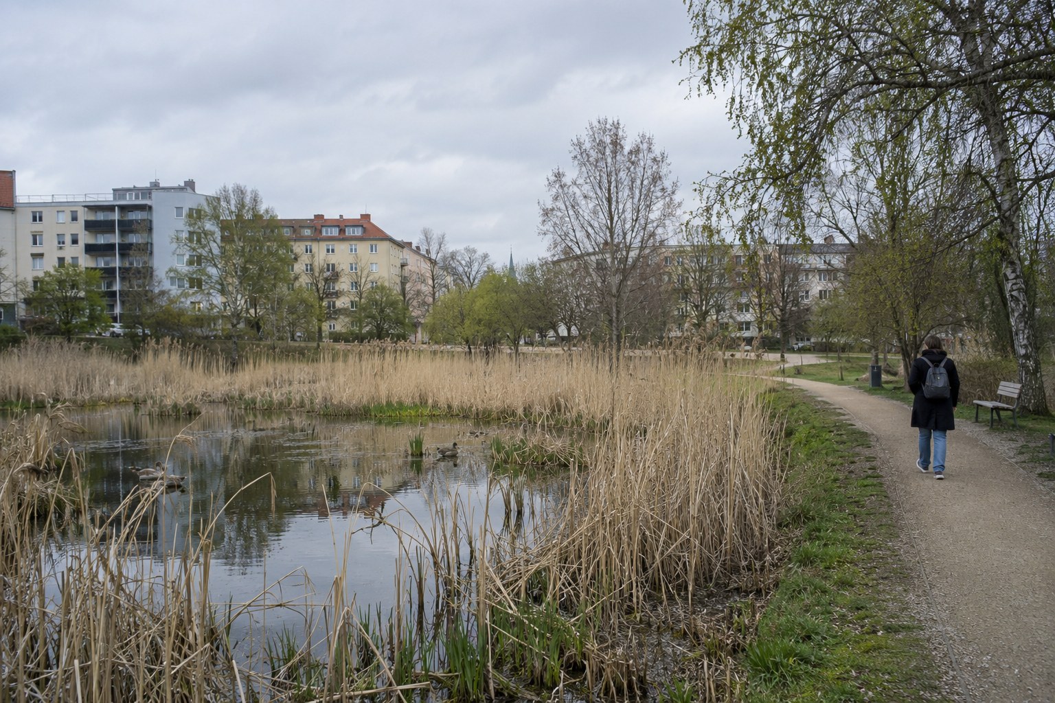 Ein Weg verläuft neben einer schilfbewachsenen Wasserfläche.