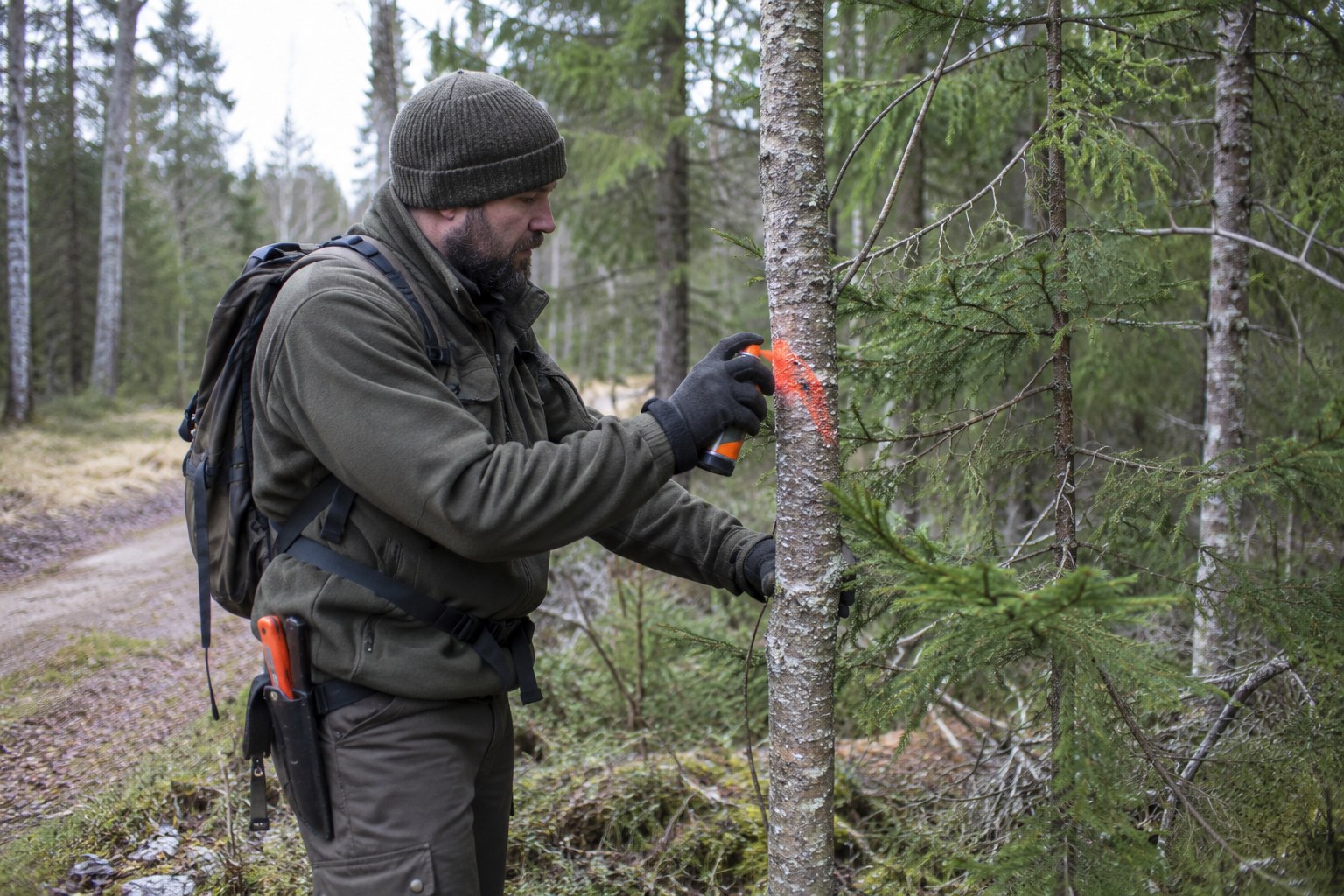 Ein Forstmitarbeiter markiert einen Baum im Wald.