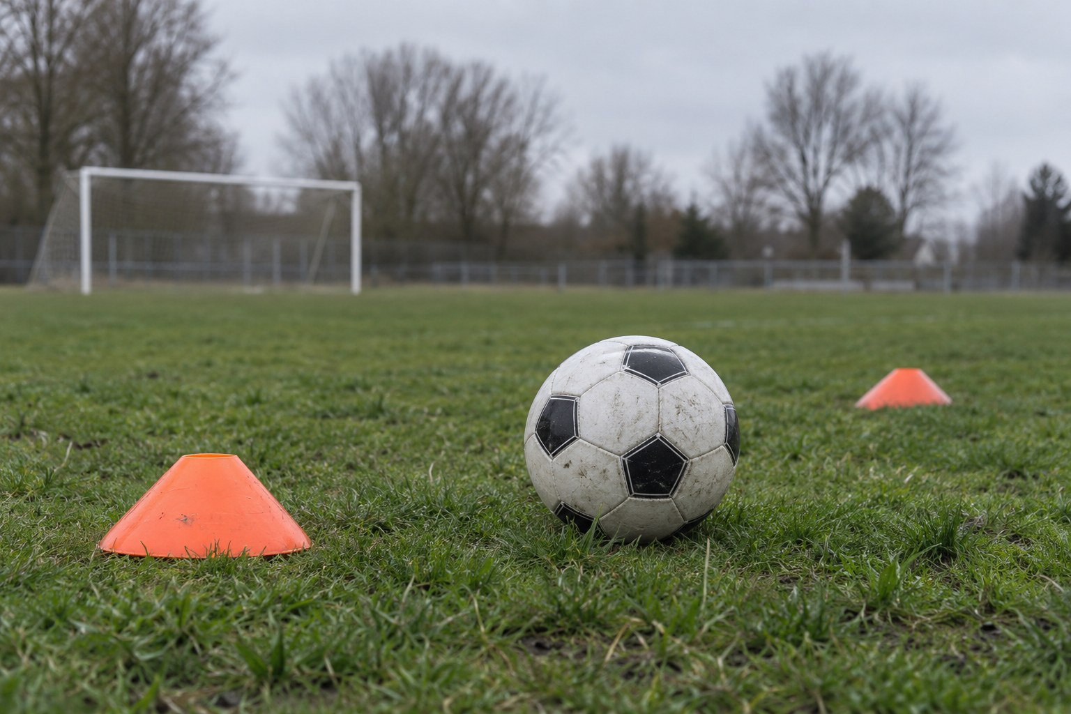 Fußball und Markierungshütchen auf dem Trainingsrasen.