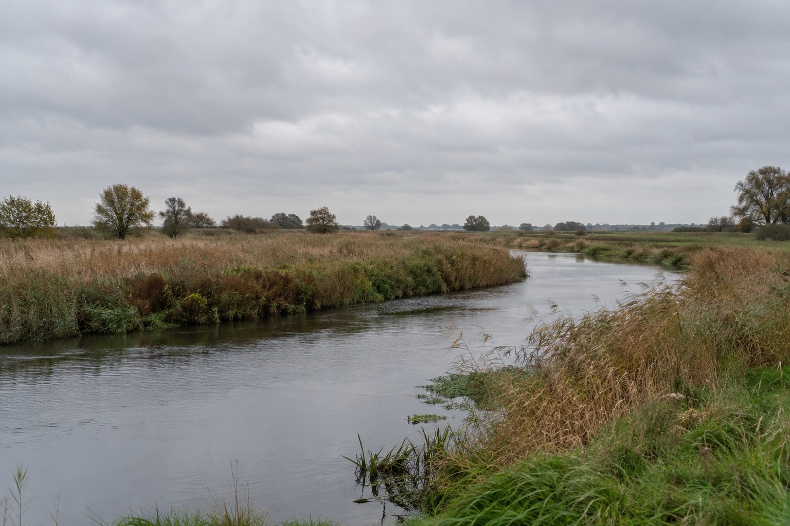 Ein Fluss fließt an herbstlichen Bäumen vorbei.