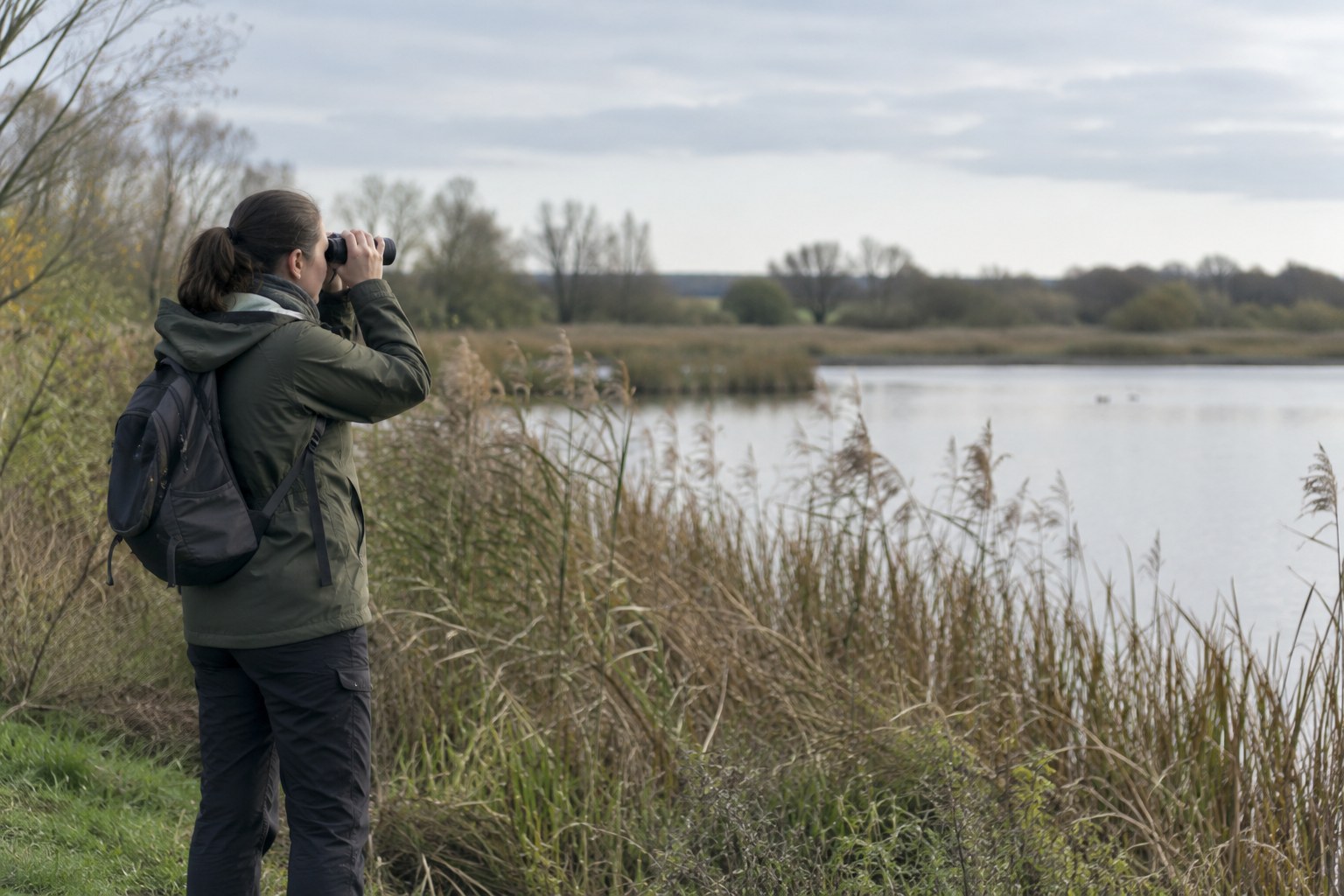 Eine Vogelbeobachterin betrachtet ein Schilfgebiet mit dem Fernglas.