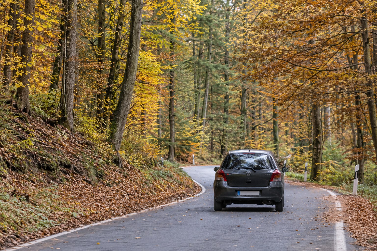 Ein Auto fährt auf einer asphaltierten Waldstraße.
