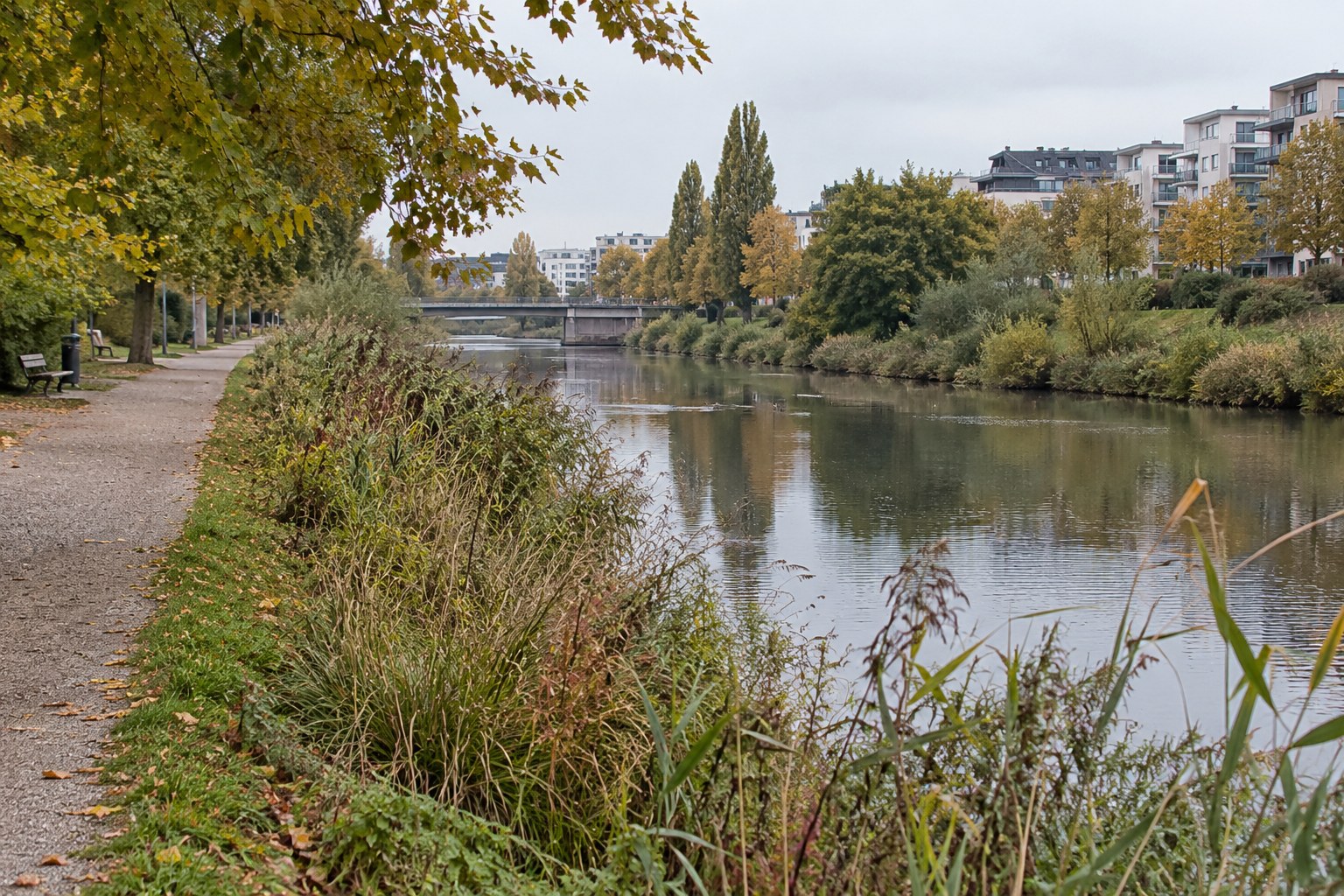 Ein von Schilf gesäumtes Gewässer liegt zwischen Grünflächen und städtischer Bebauung.