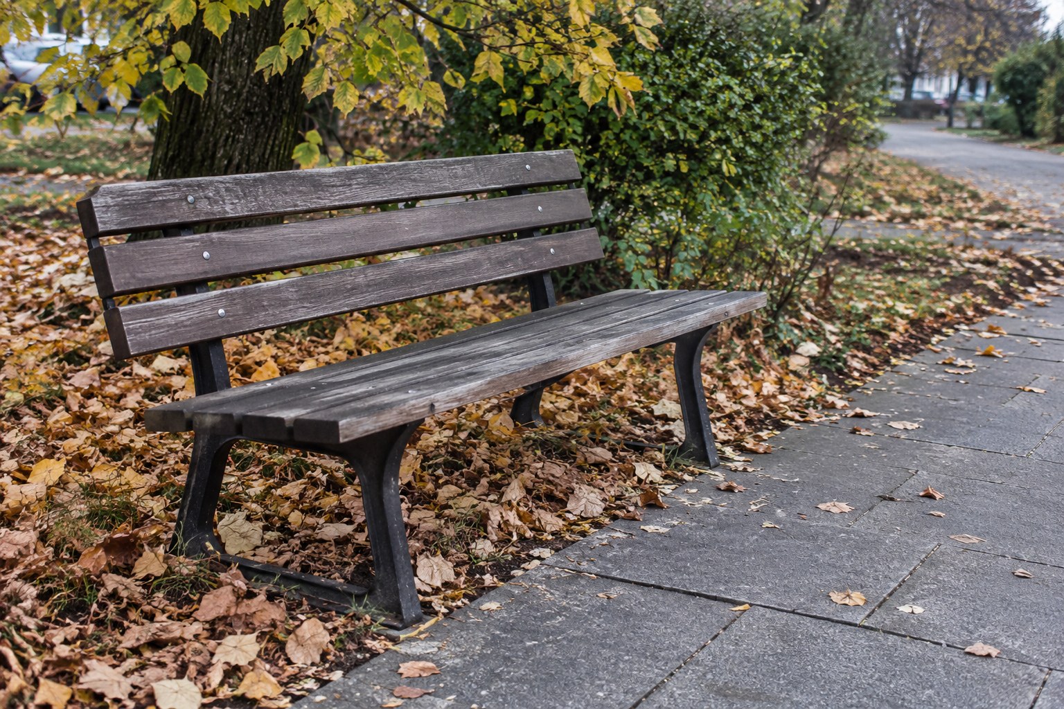 Straßenbank neben einem Gehweg mit Herbstlaub.