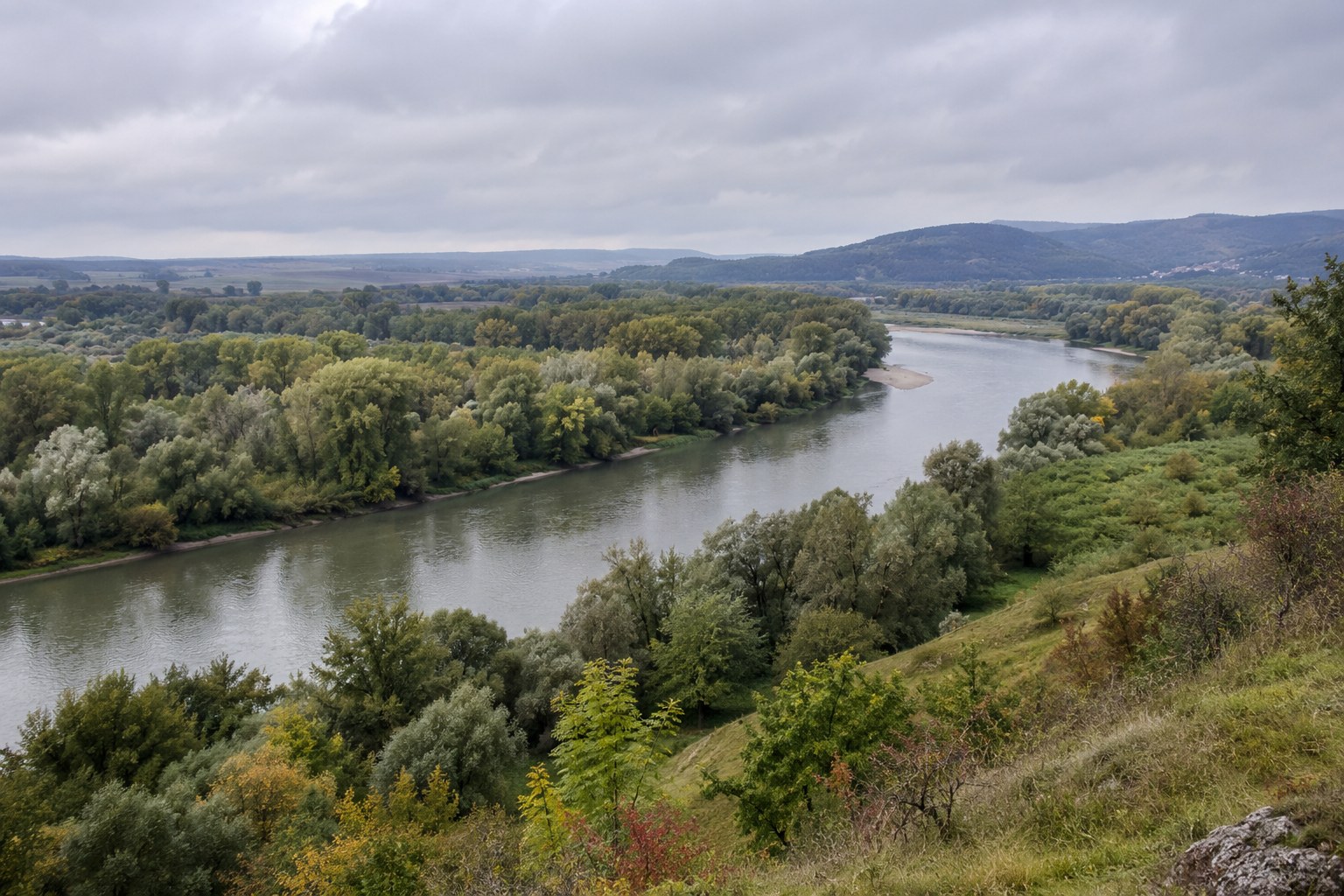 Flussbiegung mit angrenzendem Wald.