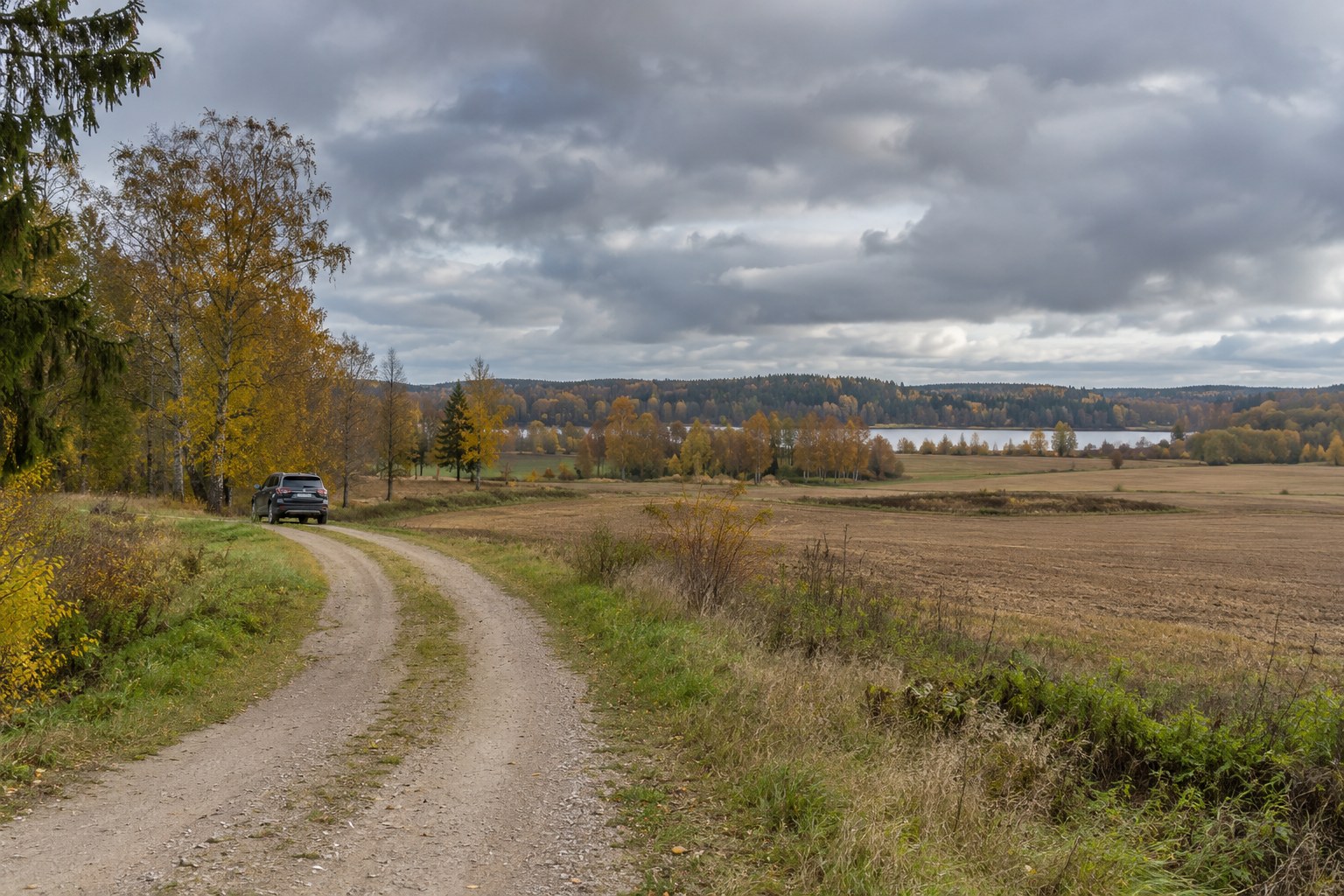 Weite Feldlandschaft mit einem Fahrzeug auf einem Wirtschaftsweg.