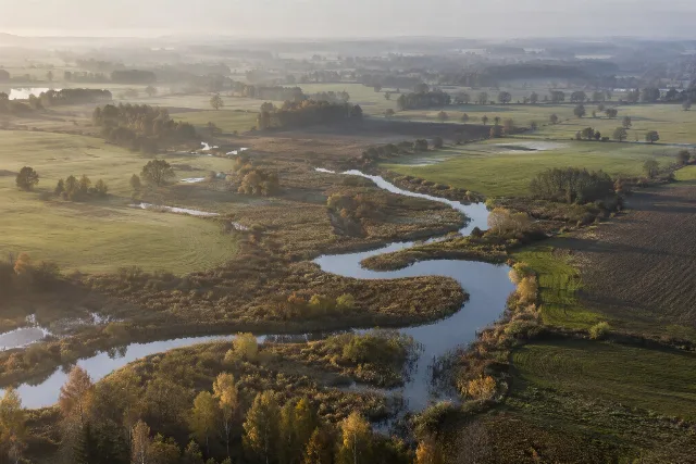 Generierte Luftansicht von Feldern zwischen Wasserläufen und Feuchtgebieten.