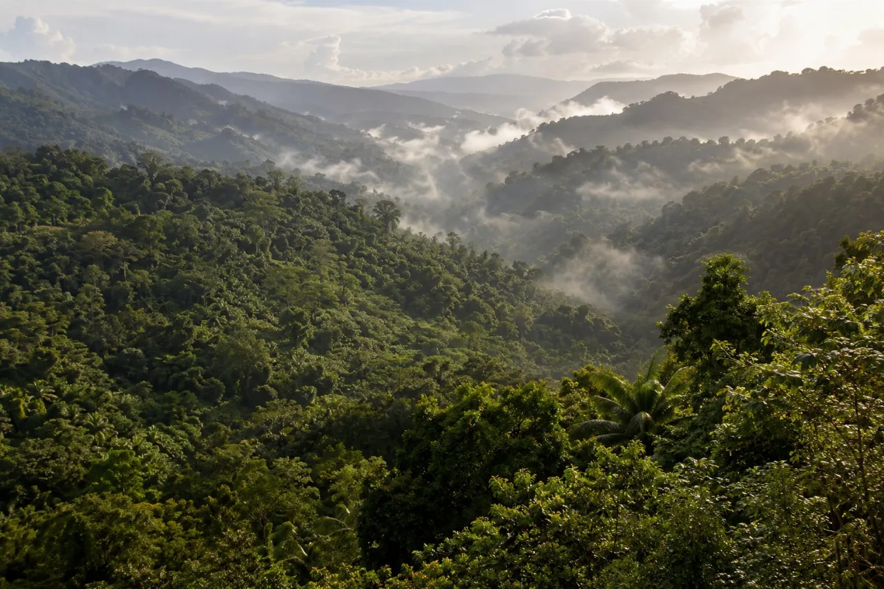 Symbolische Landschaft eines tropischen Bergwaldes auf Puerto Rico; keine NASA-Aufnahme.
